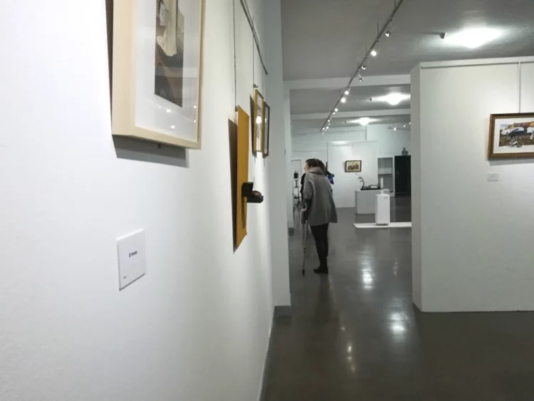 'Varginal', en la sala de exposiciones del Paco Rabal (Foto: Valledelkas)
