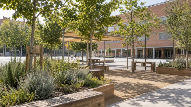 Patio de colegio renaturalizado con árboles, jardineras, sombra y bancos de madera